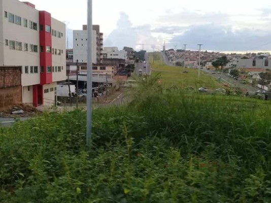 2018216_matoalto