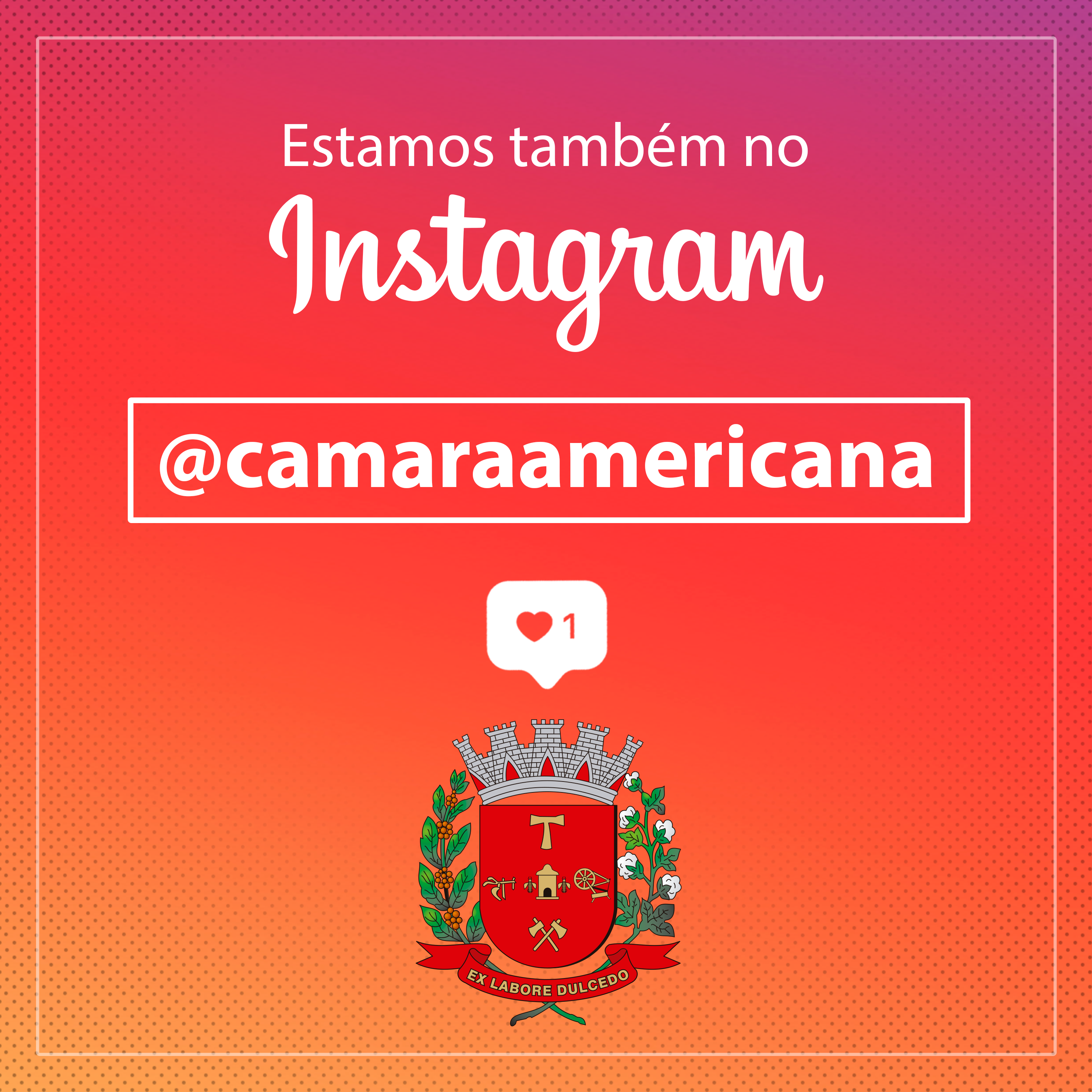 201966_Estamos-no-Instagram