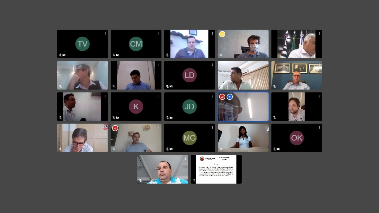 2020416_fotovideoconferencia